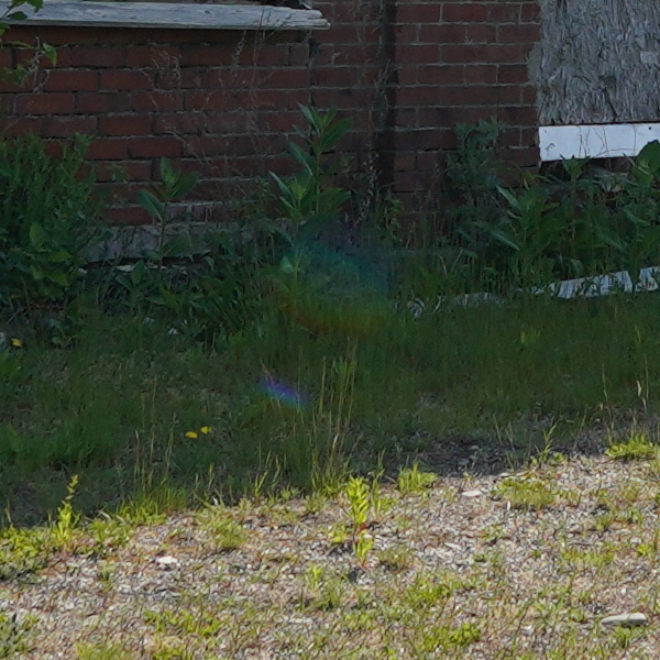 Sony FE 14mm f/1.8 GM Review: Field Test -- Gallery Image