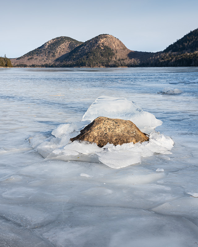 Sony FE 24-105mm F4 G OSS Review -- Gallery Image