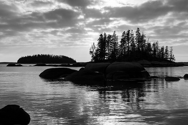 Sony FE 24-105mm F4 G OSS Review -- Gallery Image