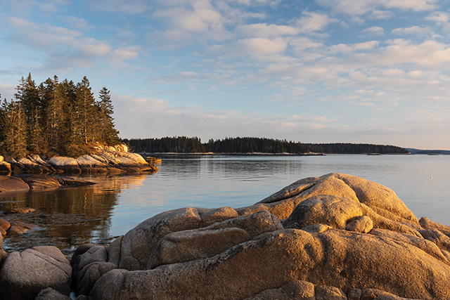 Sony FE 24-105mm F4 G OSS Review -- Gallery Image