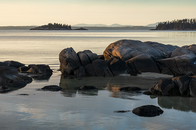 Sony FE 24-105mm F4 G OSS Review -- Gallery Image