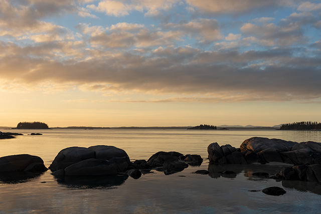 Sony FE 24-105mm F4 G OSS Review -- Gallery Image