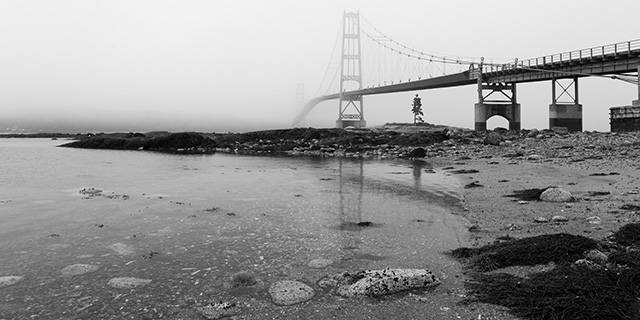 Sony FE 24-105mm F4 G OSS Review -- Gallery Image