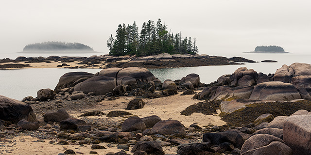 Sony FE 24-105mm F4 G OSS Review -- Gallery Image