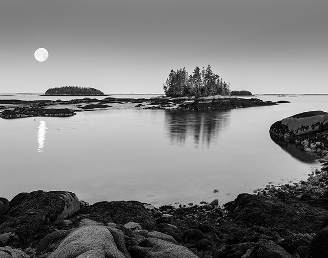 Sony FE 24-105mm F4 G OSS Review -- Gallery Image