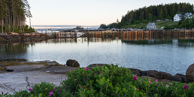 Sony FE 24-105mm F4 G OSS Review -- Gallery Image