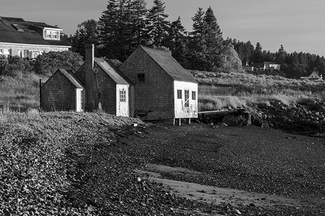 Sony FE 24-105mm F4 G OSS Review -- Gallery Image