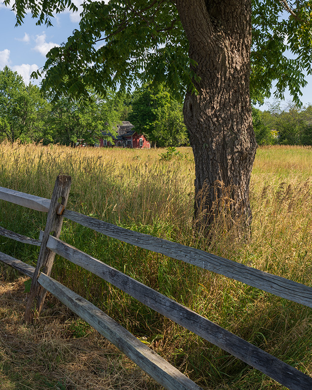 Sony FE 24-105mm F4 G OSS Review -- Gallery Image