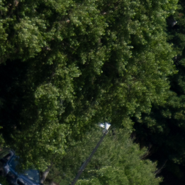 Sony FE 24-105mm F4 G OSS Review -- Gallery Image