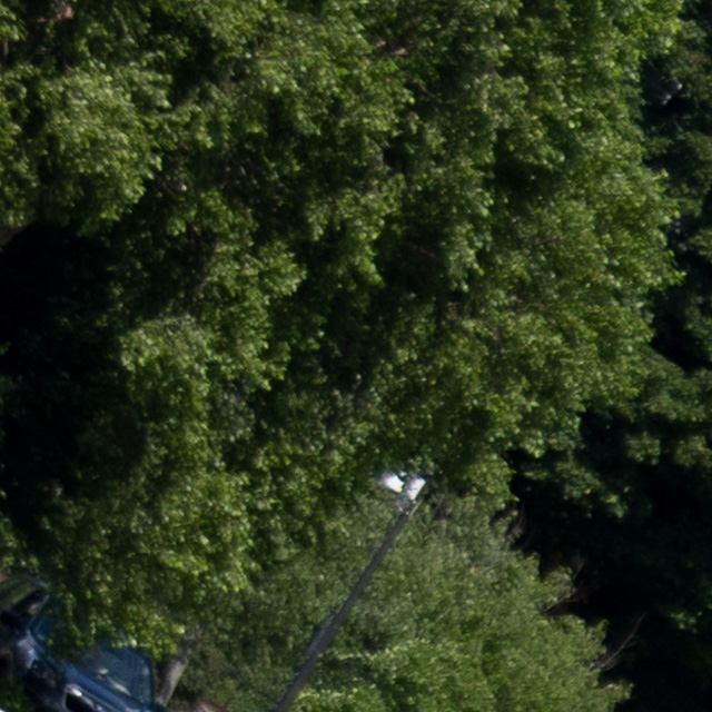 Sony FE 24-105mm F4 G OSS Review -- Gallery Image