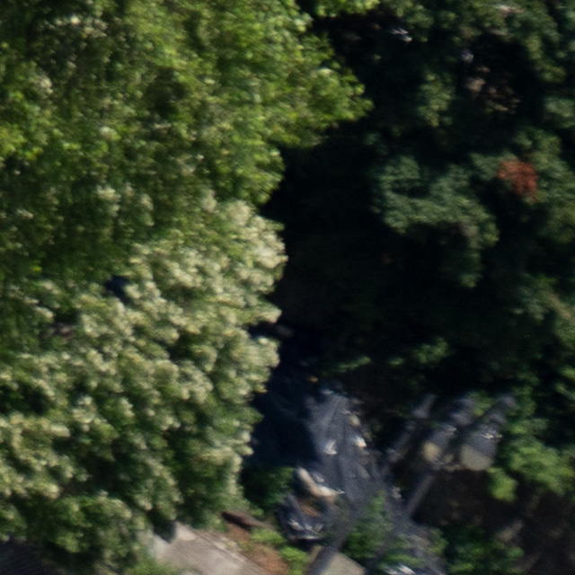 Sony FE 24-105mm F4 G OSS Review -- Gallery Image