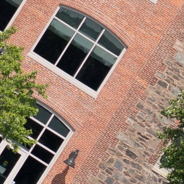 Sony FE 24-105mm F4 G OSS Review -- Gallery Image