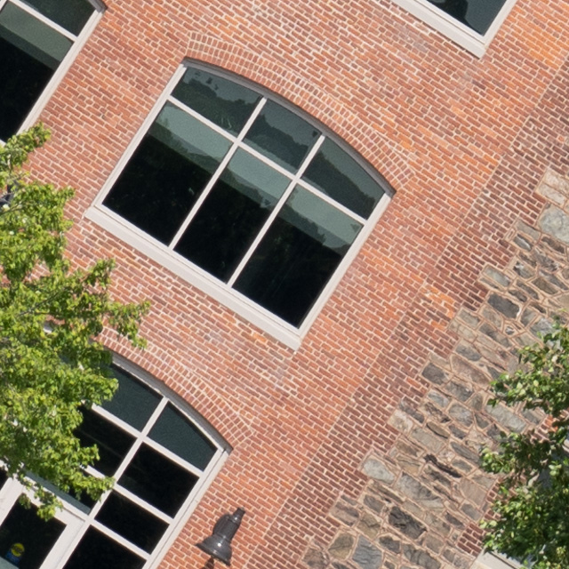 Sony FE 24-105mm F4 G OSS Review -- Gallery Image