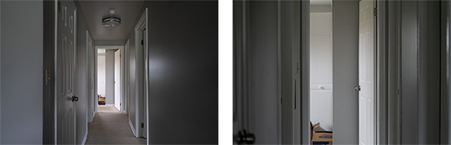 Sony FE 24-70mm F2.8 GM II Review -- Gallery Image