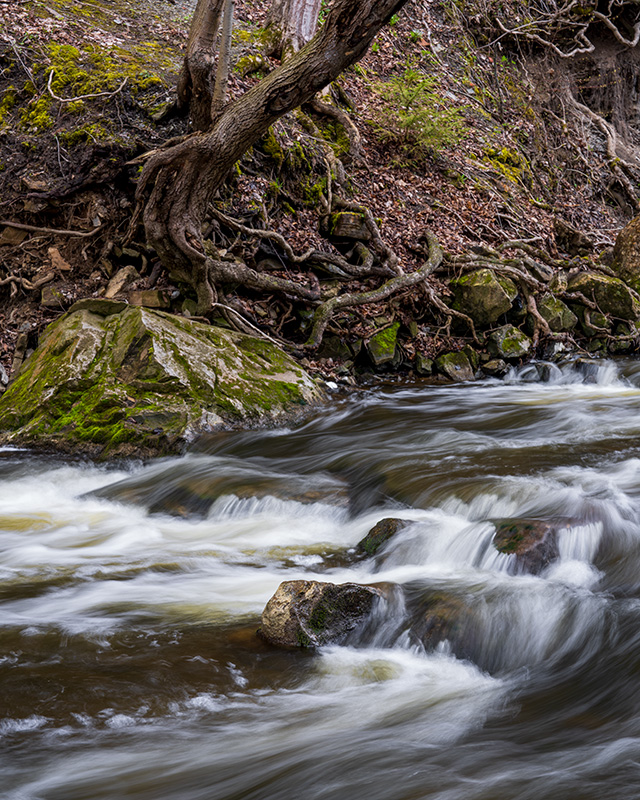 Sony FE 24-70mm F2.8 GM II Review -- Gallery Image