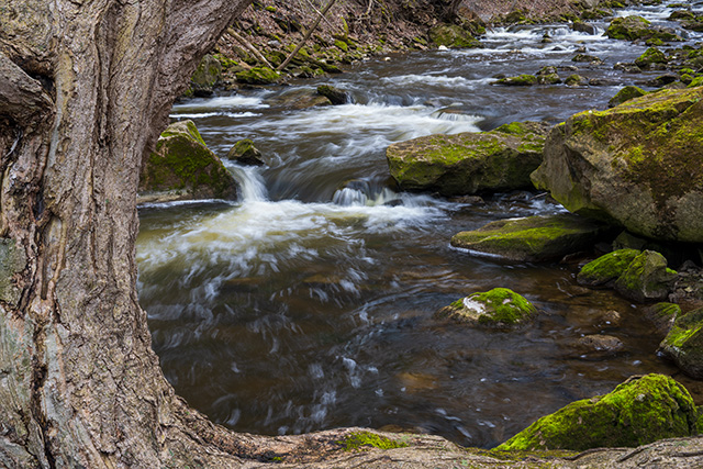 Sony FE 24-70mm F2.8 GM II Review -- Gallery Image