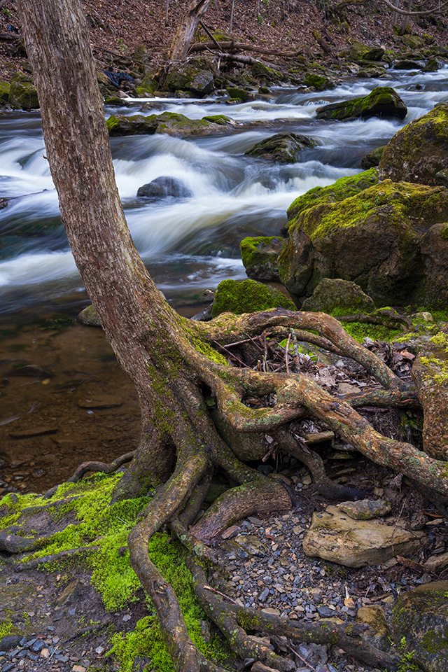 Sony FE 24-70mm F2.8 GM II Review -- Gallery Image