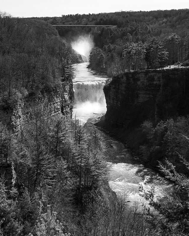 Sony FE 24-70mm F2.8 GM II Review -- Gallery Image