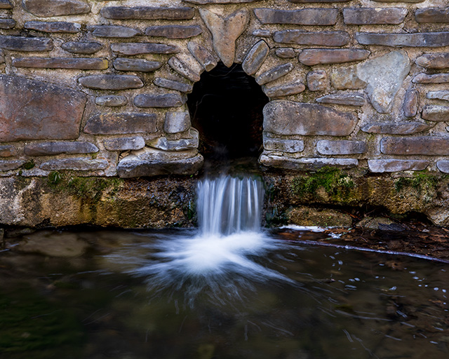 Sony FE 24-70mm F2.8 GM II Review -- Gallery Image