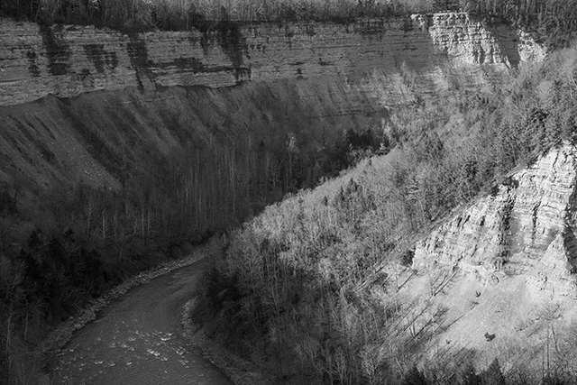 Sony FE 24-70mm F2.8 GM II Review -- Gallery Image