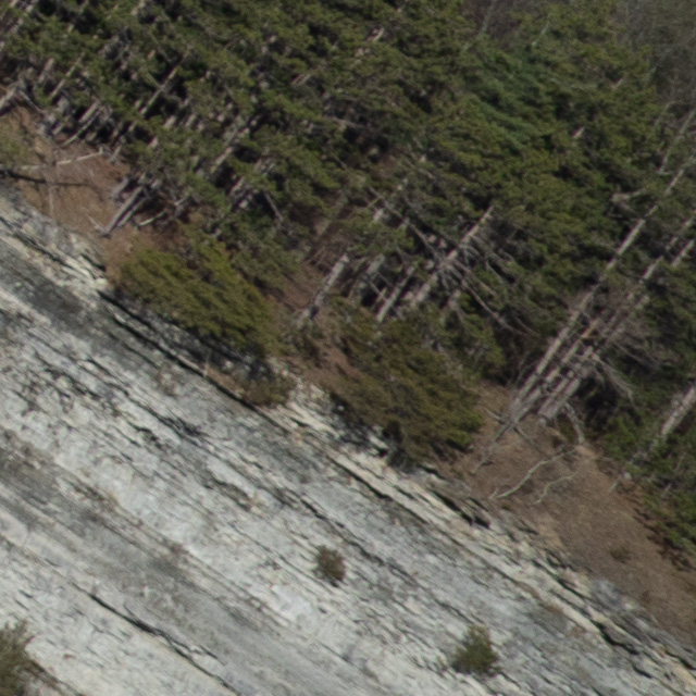 Sony FE 24-70mm F2.8 GM II Review -- Gallery Image