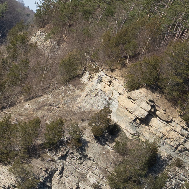 Sony FE 24-70mm F2.8 GM II Review -- Gallery Image