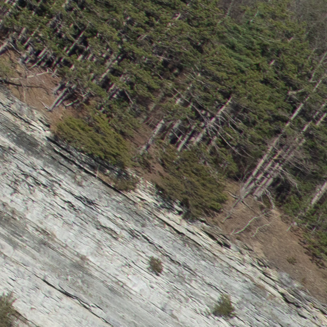 Sony FE 24-70mm F2.8 GM II Review -- Gallery Image