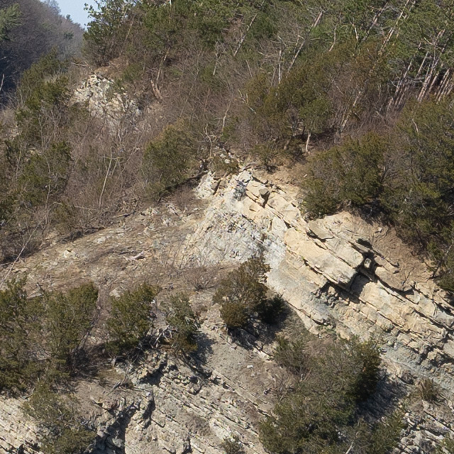 Sony FE 24-70mm F2.8 GM II Review -- Gallery Image