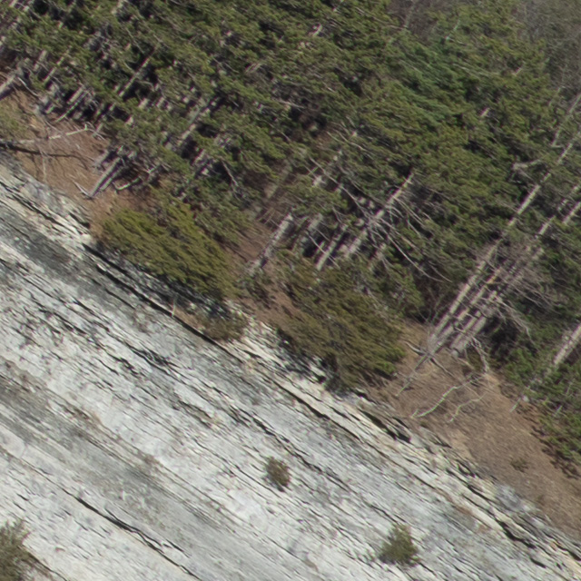 Sony FE 24-70mm F2.8 GM II Review -- Gallery Image