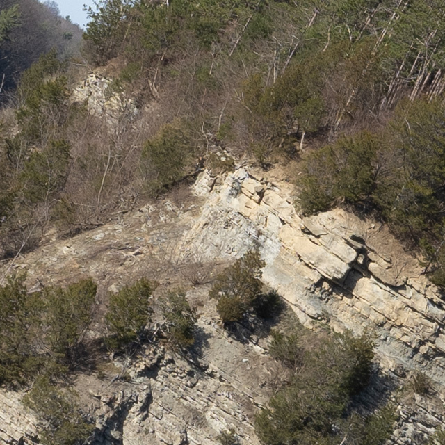 Sony FE 24-70mm F2.8 GM II Review -- Gallery Image