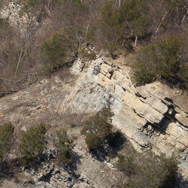 Sony FE 24-70mm F2.8 GM II Review -- Gallery Image