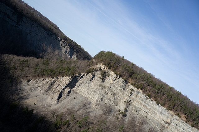 Sony FE 24-70mm F2.8 GM II Review -- Gallery Image