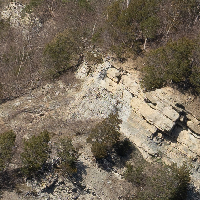 Sony FE 24-70mm F2.8 GM II Review -- Gallery Image