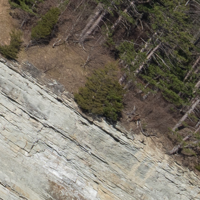 Sony FE 24-70mm F2.8 GM II Review -- Gallery Image