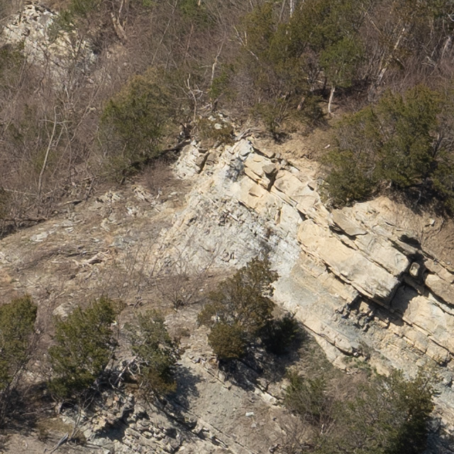 Sony FE 24-70mm F2.8 GM II Review -- Gallery Image