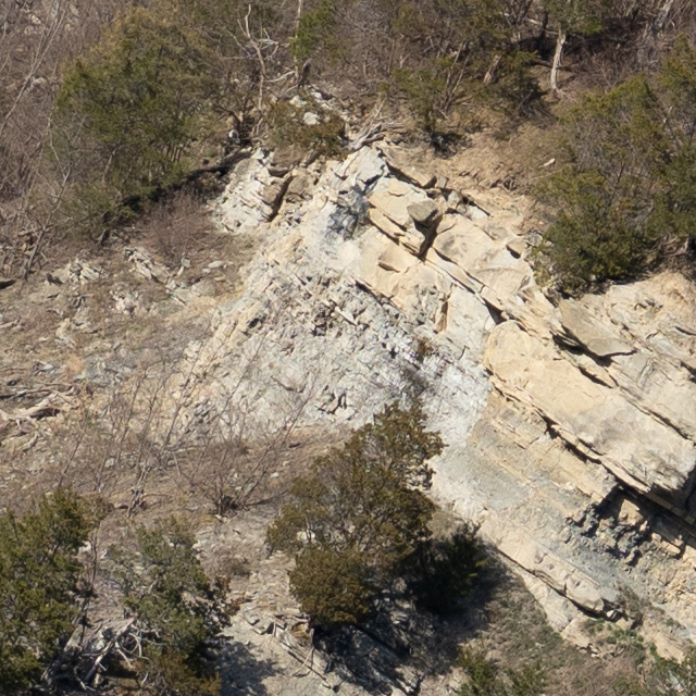 Sony FE 24-70mm F2.8 GM II Review -- Gallery Image