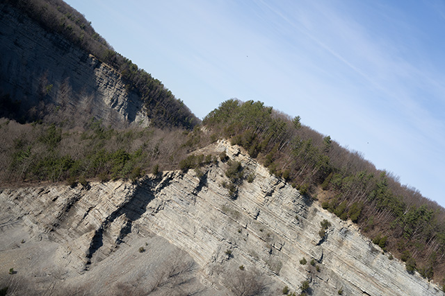 Sony FE 24-70mm F2.8 GM II Review -- Gallery Image