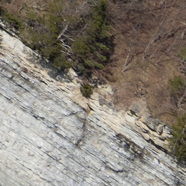 Sony FE 24-70mm F2.8 GM II Review -- Gallery Image