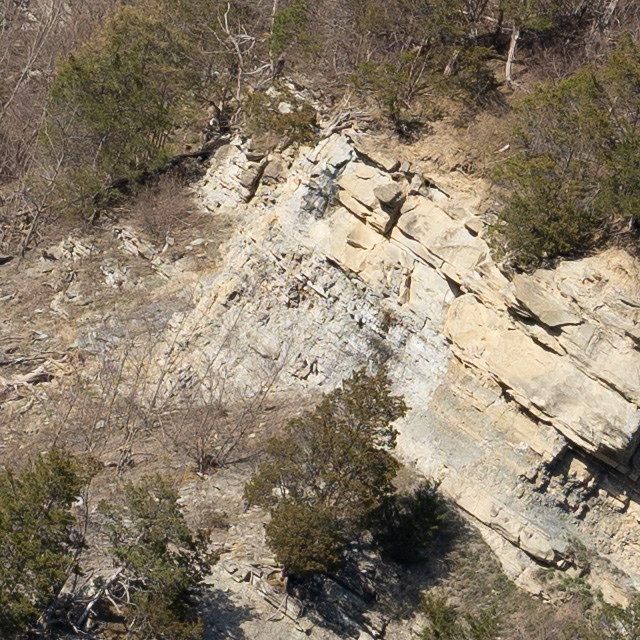 Sony FE 24-70mm F2.8 GM II Review -- Gallery Image