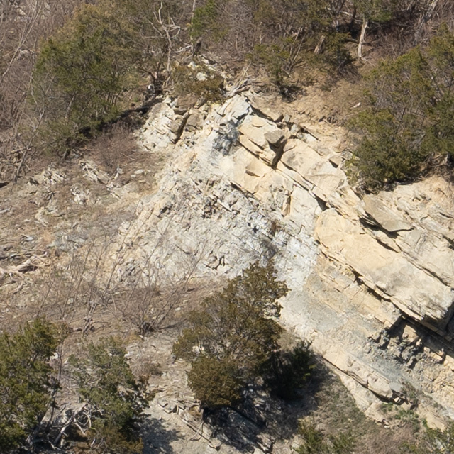 Sony FE 24-70mm F2.8 GM II Review -- Gallery Image