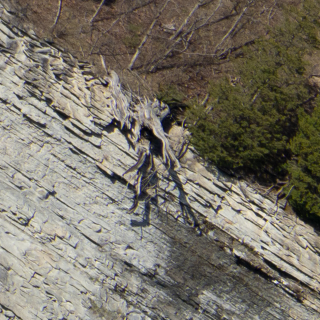 Sony FE 24-70mm F2.8 GM II Review -- Gallery Image