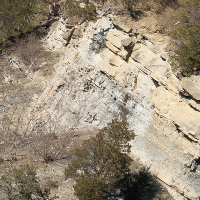 Sony FE 24-70mm F2.8 GM II Review -- Gallery Image