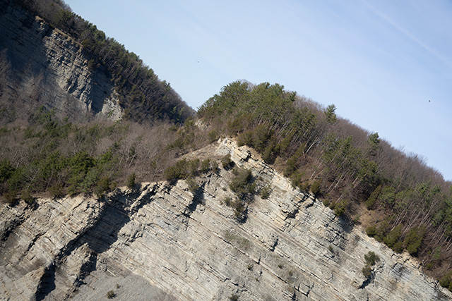 Sony FE 24-70mm F2.8 GM II Review -- Gallery Image