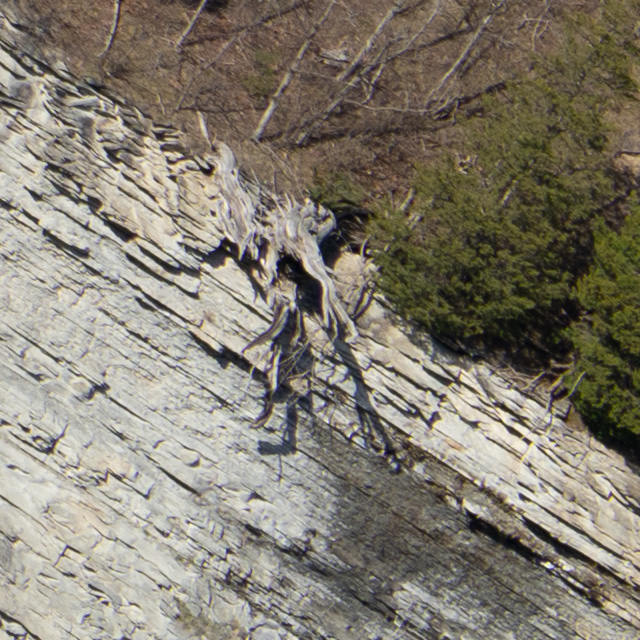 Sony FE 24-70mm F2.8 GM II Review -- Gallery Image