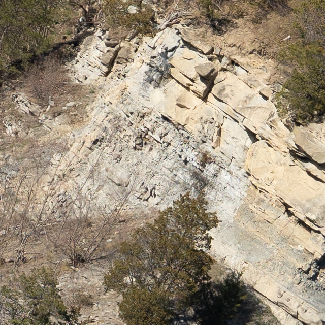 Sony FE 24-70mm F2.8 GM II Review -- Gallery Image