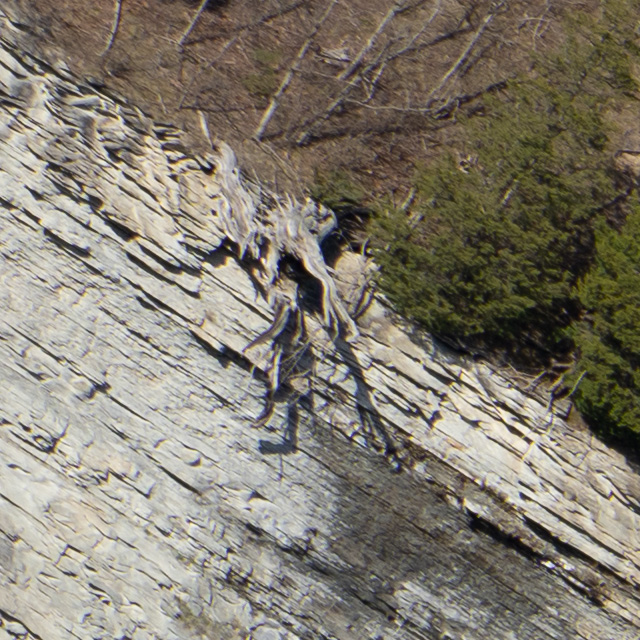 Sony FE 24-70mm F2.8 GM II Review -- Gallery Image