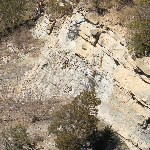 Sony FE 24-70mm F2.8 GM II Review -- Gallery Image