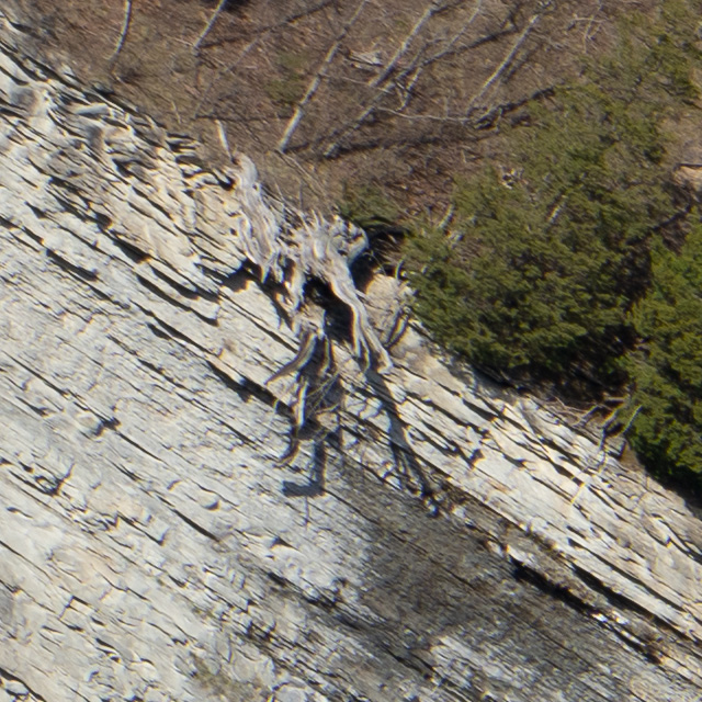 Sony FE 24-70mm F2.8 GM II Review -- Gallery Image