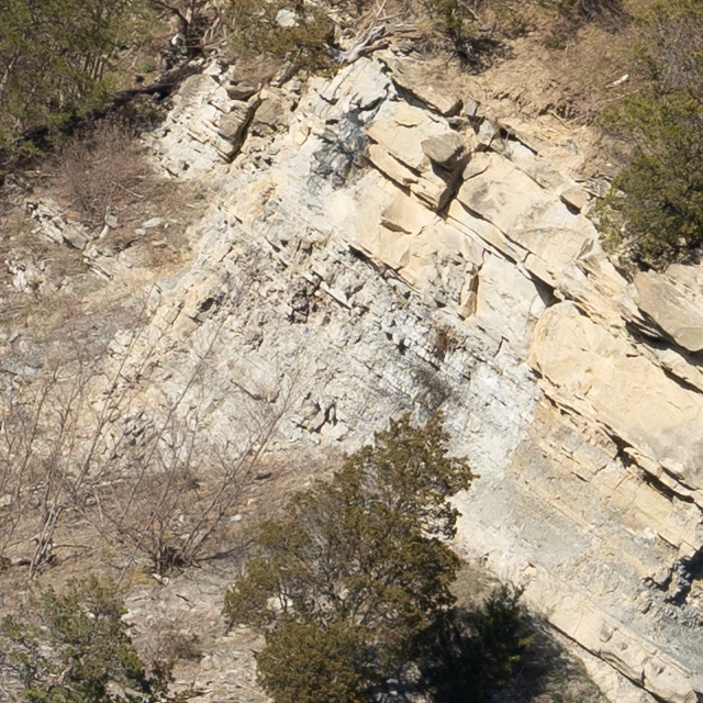 Sony FE 24-70mm F2.8 GM II Review -- Gallery Image