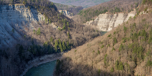 Sony FE 24-70mm F2.8 GM II Review -- Gallery Image